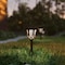 Flash Furniture Brown Tulip Design LED Solar Lights, PK 8 DN-SL114-8-BR-GG - alternate 1